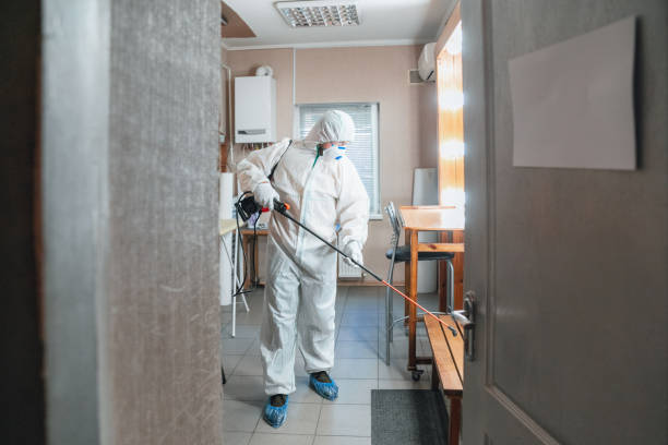 Mold Documentation for Insurance Claims in Port Wentworth, GA