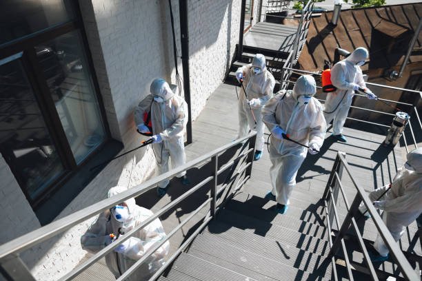 Best Environmental Consulting for Mold Prevention  in Port Wentworth, GA