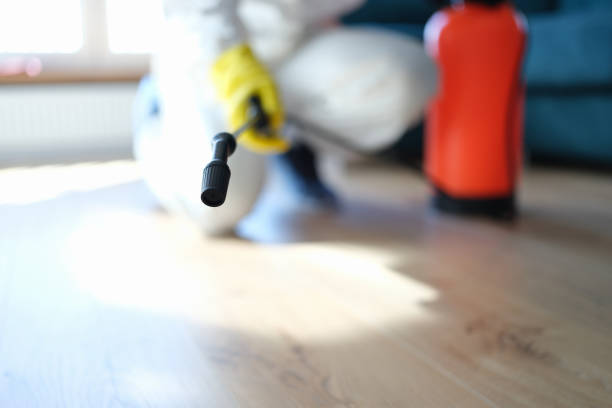 Best Residential Mold Inspection & Testing  in Port Wentworth, GA